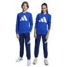 ROYBLU/WHITE